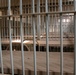 Chilling Reminder of Saddam Hussein's Brutal Regime