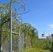 Overgrown Camp X-Ray Sits Abandoned at Guantanamo Bay