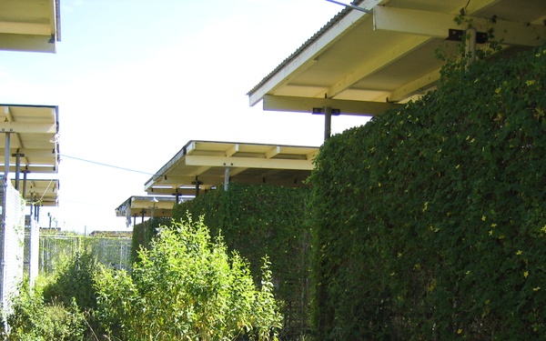 Overgrown Camp X-Ray Sits Abandoned at Guantanamo Bay