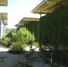 Overgrown Camp X-Ray Sits Abandoned at Guantanamo Bay