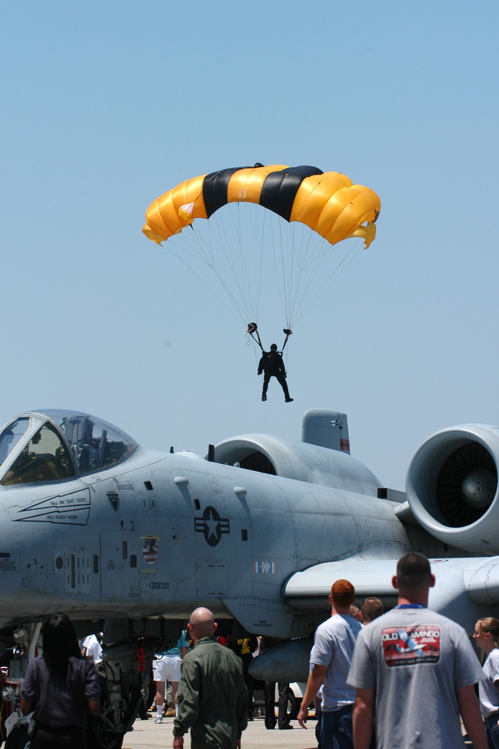Army Golden Knights Wow Crowd with Parachute Jump at Opa Locka Airport