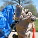 National Guard Trains for Nuclear Incident Response