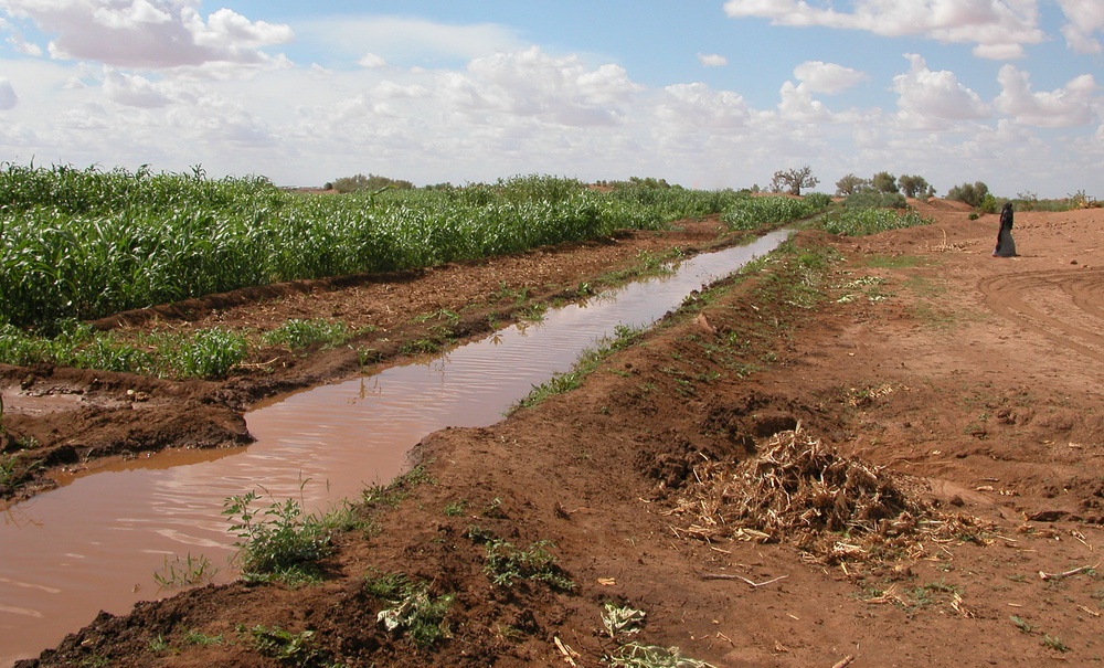 Pump Brings Life to Drought-Stricken Fields in Ethiopia