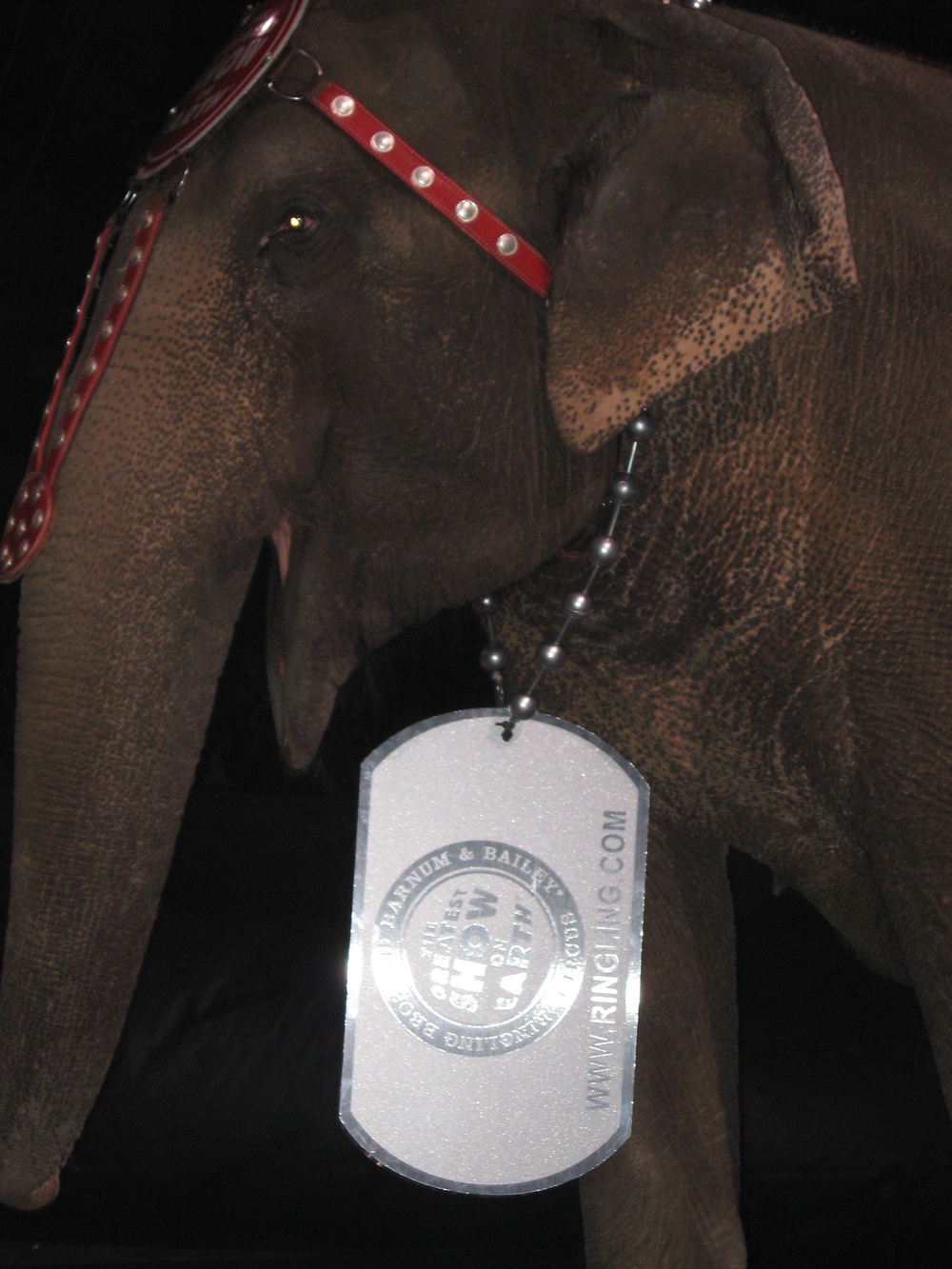 Ringling Bros. Circus Joins America Supports You Campaign