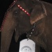 Ringling Bros. Circus Joins America Supports You Campaign