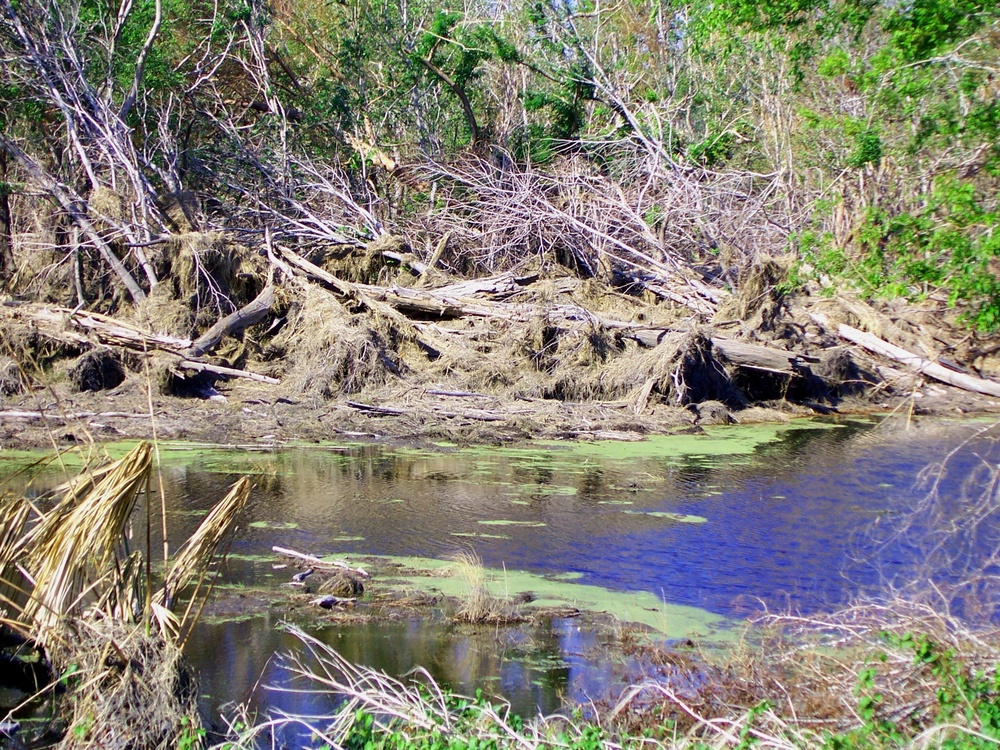 Clogged Canals Hamper Drainage in New Orleans' St. Bernard Parish