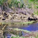 Clogged Canals Hamper Drainage in New Orleans' St. Bernard Parish