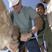 Army Veterinarian Treats Hoof Abscess in Yemeni Village