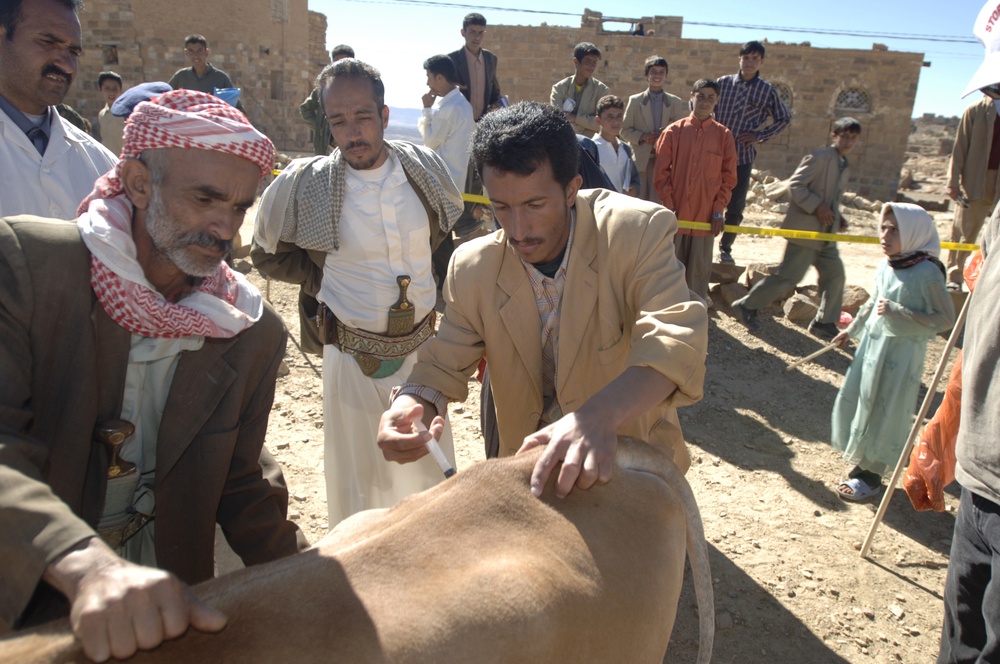 Veterinary Civil Action Plan Provides Care for Livestock in Yemen