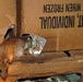 Rats Nest in Abandoned Military Rations in Saddam Hussein's Bunker