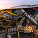 Rats Overrun Abandoned Underground Bunker Near Baghdad