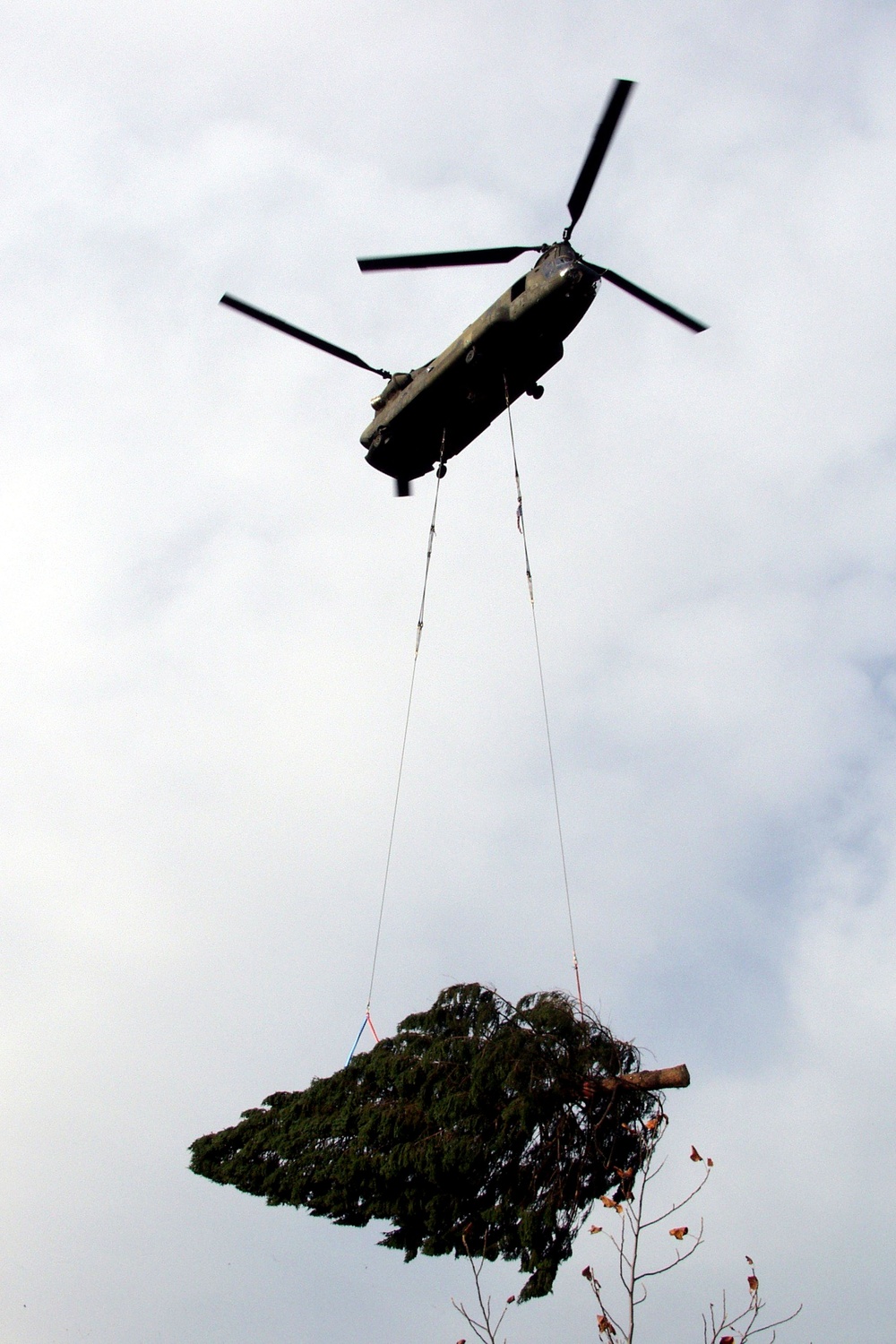 Chinook Helicopter Transports Donated Christmas Tree Across Ohio River