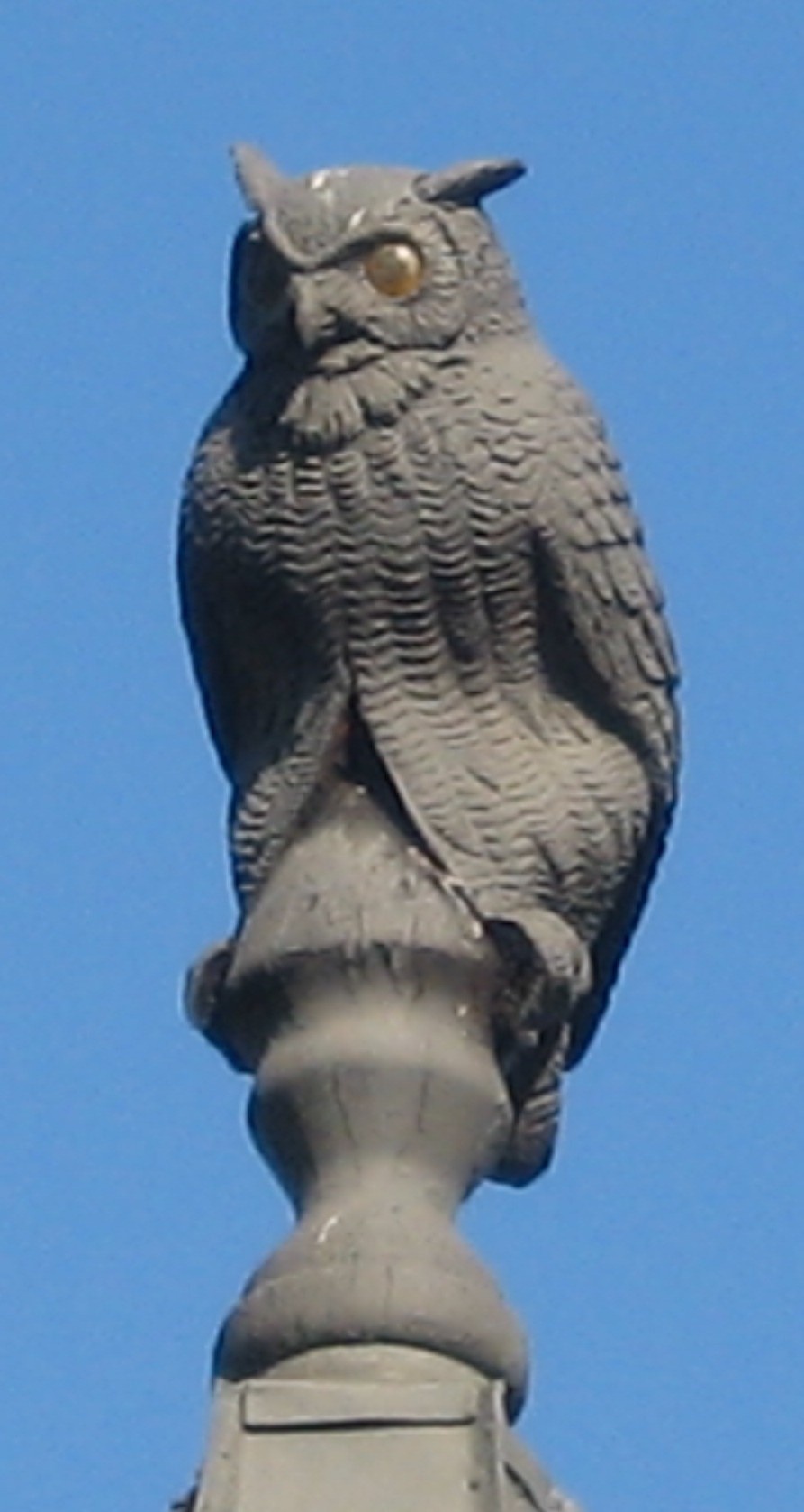 Iconic Wooden Owl to Perch Atop New Pentagon Hot Dog Stand