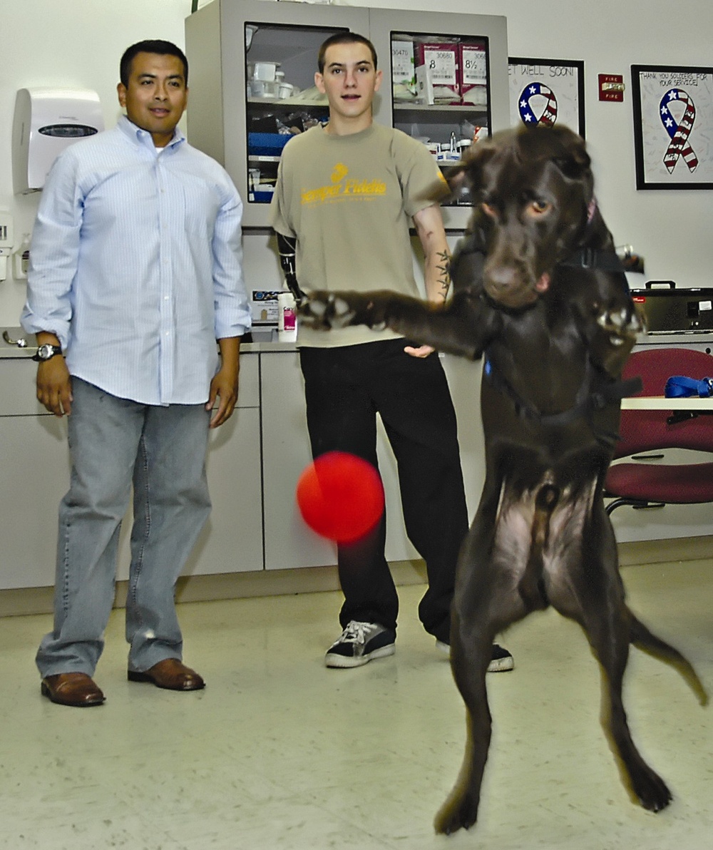 Amputee Marine Bonds with Therapy Dog at Walter Reed