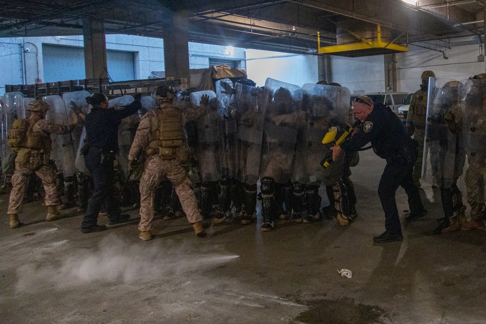 U.S. Marines, U.S. Army National Guard, HSI personnel rehearse non-lethal tactics