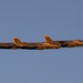 31st MEU | The ‘Bats’ celebrate its 82nd Birthday
