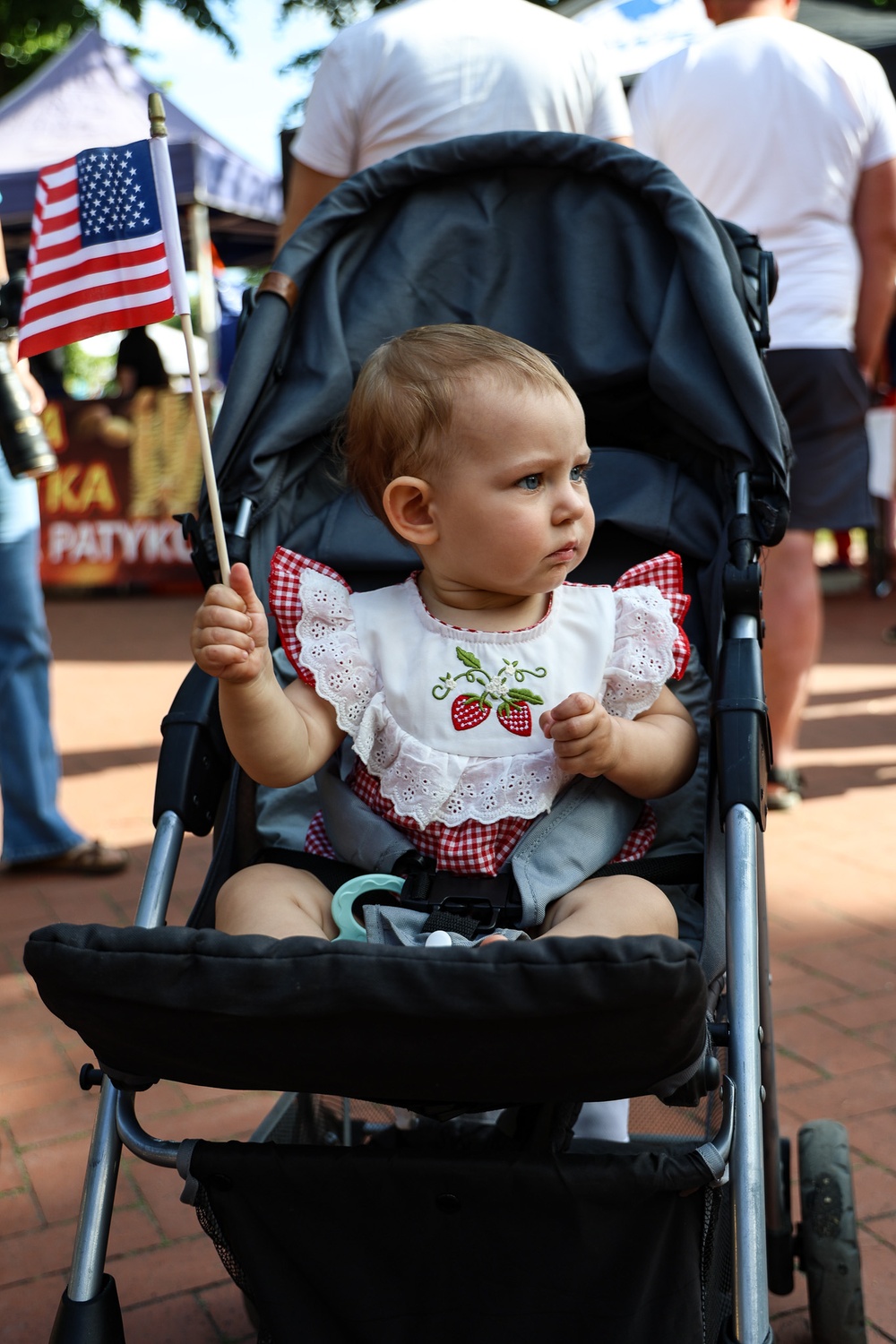 Let Freedom Ring: Polish-American Freedom Fest 2025
