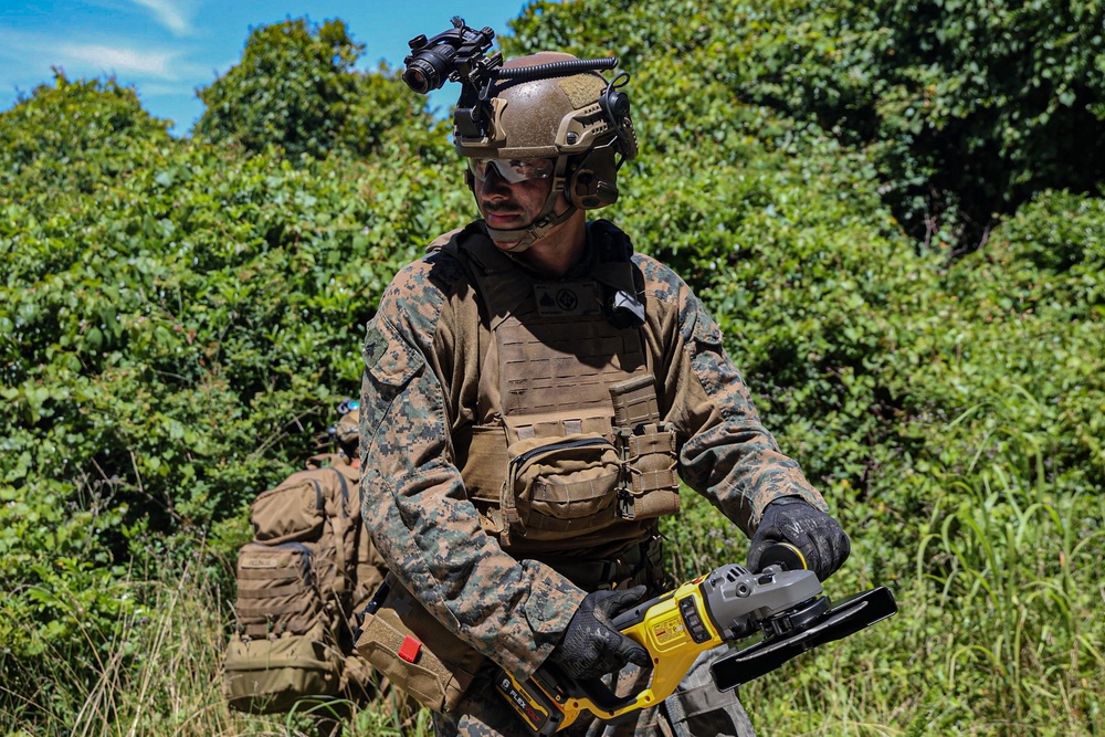 22nd MEU(SOC) | Weapons Co. TRAP mission During COMPTUEX