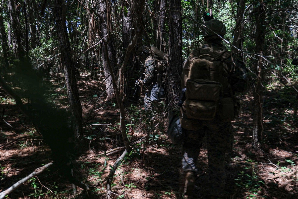 22nd MEU(SOC) | Weapons Co. TRAP mission During COMPTUEX