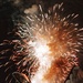 Freedom’s Got Afterburners
