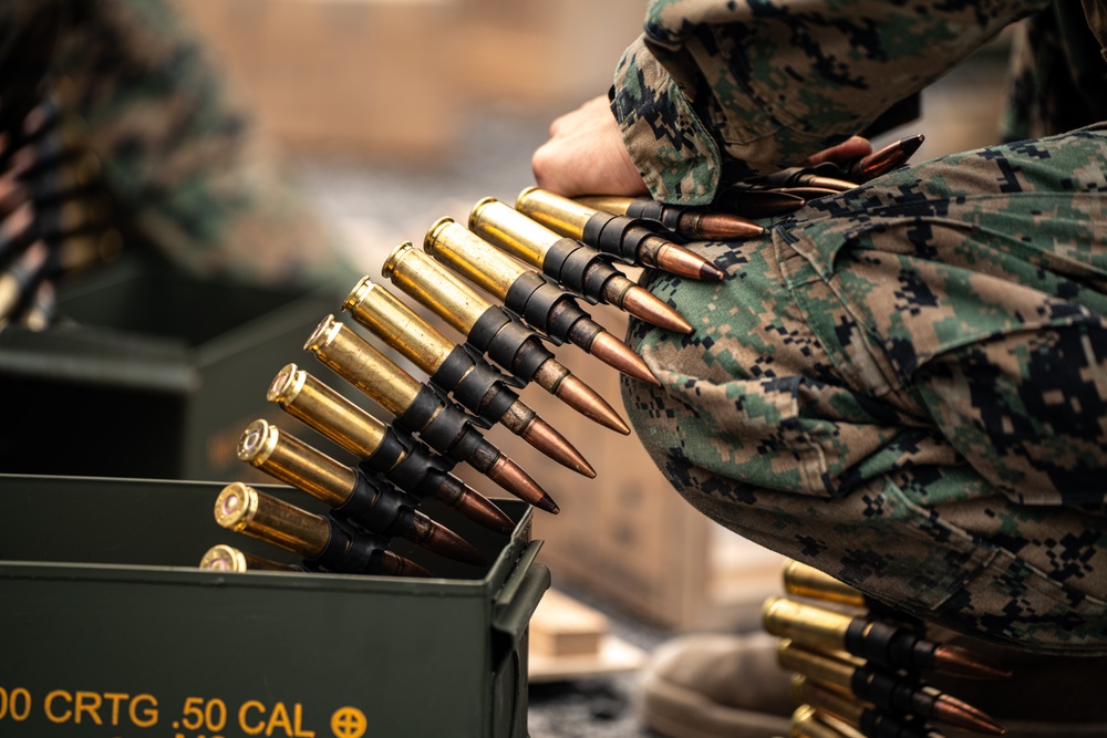 U.S. Coast Guardsmen with PSU 309 and Marines with 4th MAW participate in a joint live-fire machine gun range during Atlantic Alliance 25
