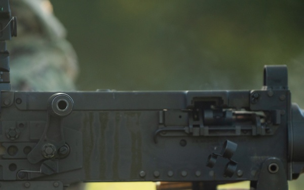 U.S. Coast Guardsmen with PSU 309 and Marines with 4th MAW participate in a joint live-fire machine gun range during Atlantic Alliance 25