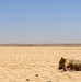 Coalition and Syrian Partners Conduct Joint Range Operation