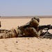 Coalition and Syrian Partners Conduct Joint Range Operation