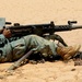 Coalition and Syrian Partners Conduct Joint Range Operation