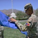 Fort Bliss Salutes the Union on Independence Day