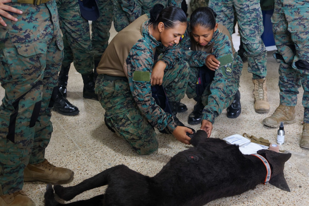 CP25 Vetsite Subject Matter Exchange in Ecuador