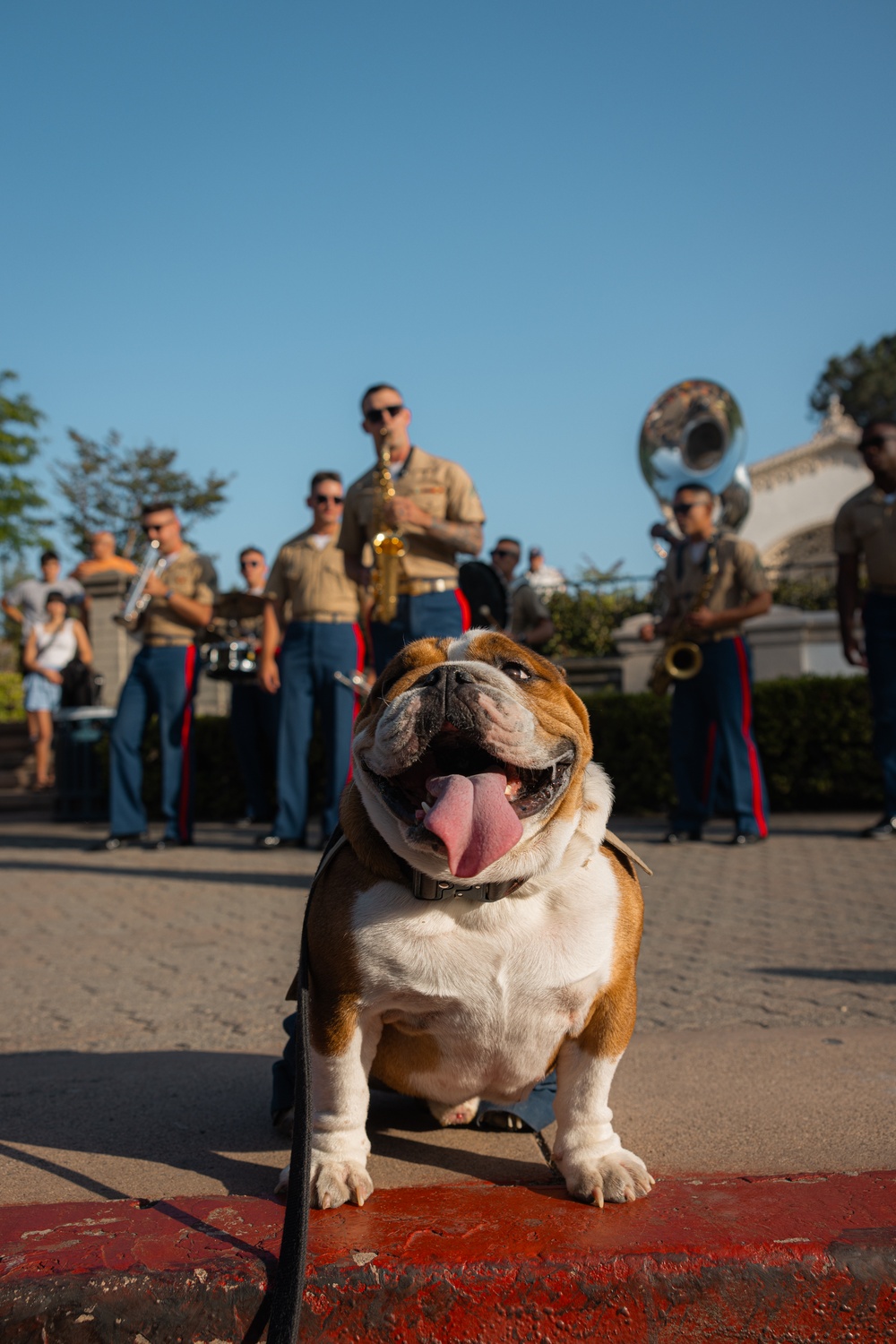 Marine Band San Diego: Twilight in the Park