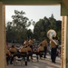 Marine Band San Diego: Twilight in the Park