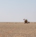 Patrolling the Desert, U.S. Army Mobile Artillery Rocket Systems on the Lookout
