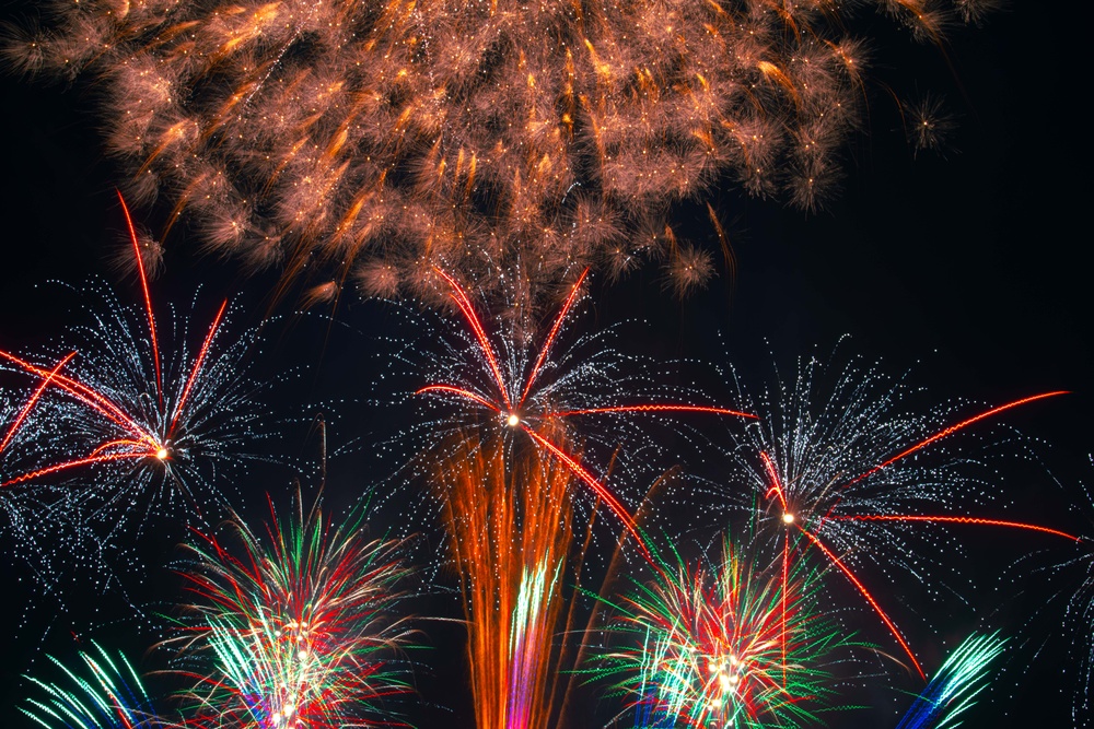NAFA Independence Day Celebration