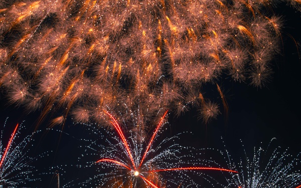 NAFA Independence Day Celebration