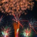 NAFA Independence Day Celebration