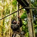 MRF-D 25.3: 3rd Bn., 11th Marines, participate in True Grit event