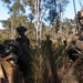 31st MEU | Animal Co. BLT 1/7 conducts simulated assault and seizure