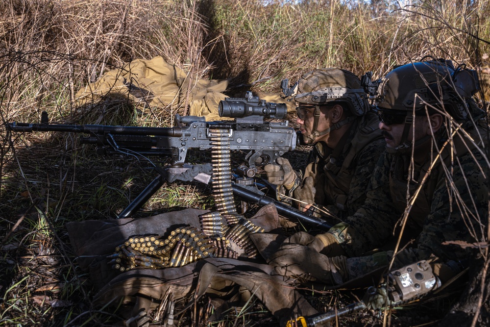 31st MEU | Animal Co. BLT 1/7 conducts simulated assault and seizure