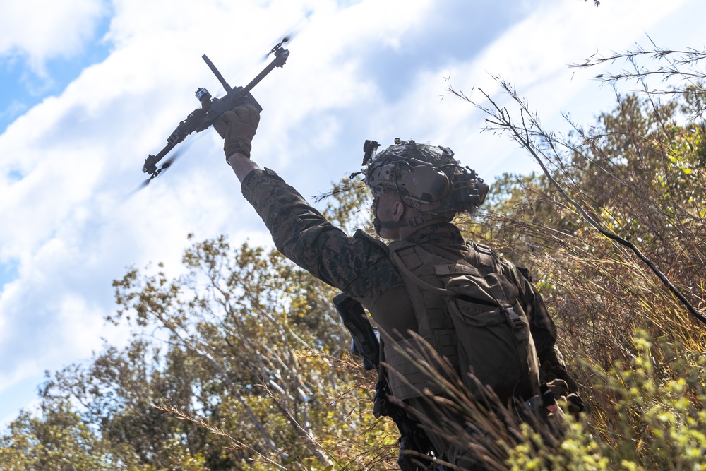 31st MEU | Animal Co. BLT 1/7 conducts simulated assault and seizure