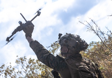 31st MEU | Animal Co. BLT 1/7 conducts simulated assault and seizure