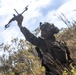31st MEU | Animal Co. BLT 1/7 conducts simulated assault and seizure