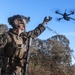 31st MEU | Animal Co. BLT 1/7 conducts simulated assault and seizure