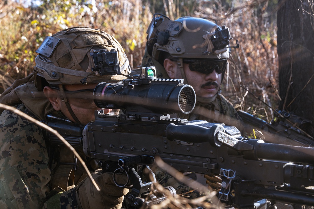 31st MEU | Animal Co. BLT 1/7 conducts simulated assault and seizure