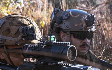 31st MEU | Animal Co. BLT 1/7 conducts simulated assault and seizure