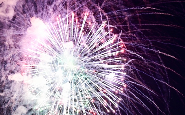 TLR celebrates Liberty Fest