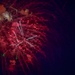 TLR celebrates Liberty Fest