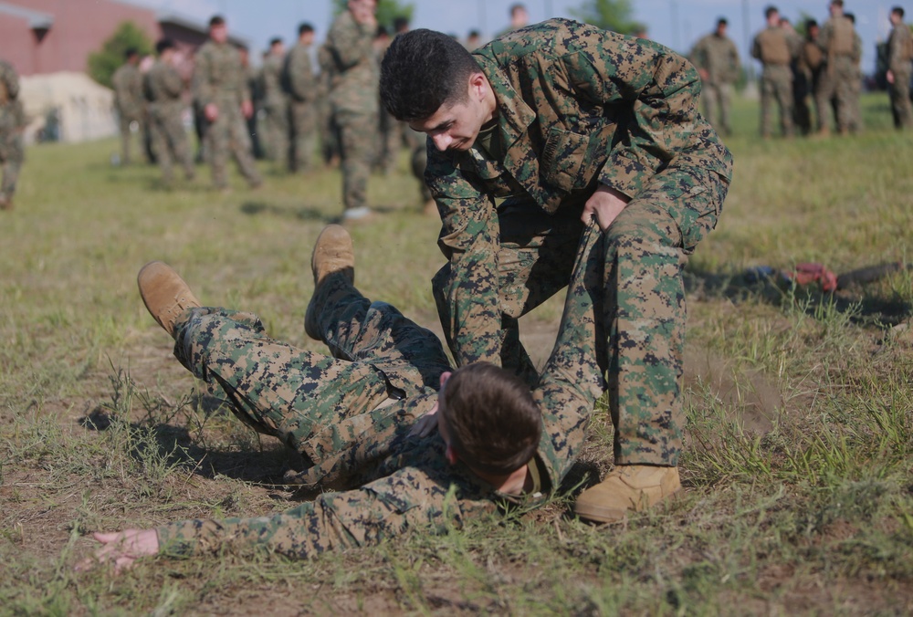 U.S. Marines conduct a Marine Corps Martial Arts Program (MCMAP) course at Atlantic Alliance '25 (AA25)