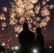 Capital Guardians serve and celebrate on Independence Day